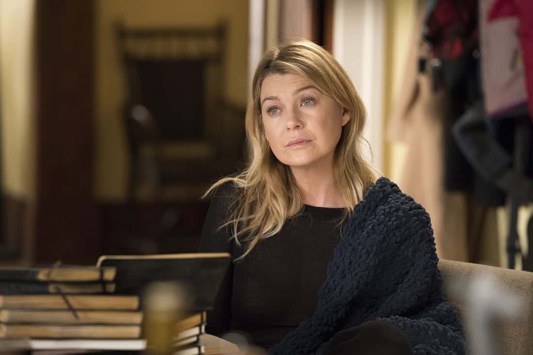 Greys Anatomy 14 temporada netflix 1
