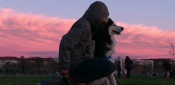 dogs documentário netflix