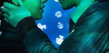 Amor Ocasional netflix
