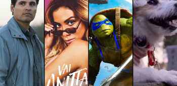 vai anitta apenas caes tartarugas ninjas narcos