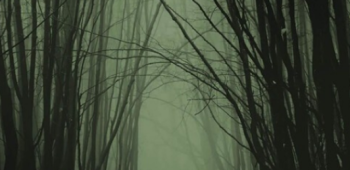cropped-Rojst-Netflix.png