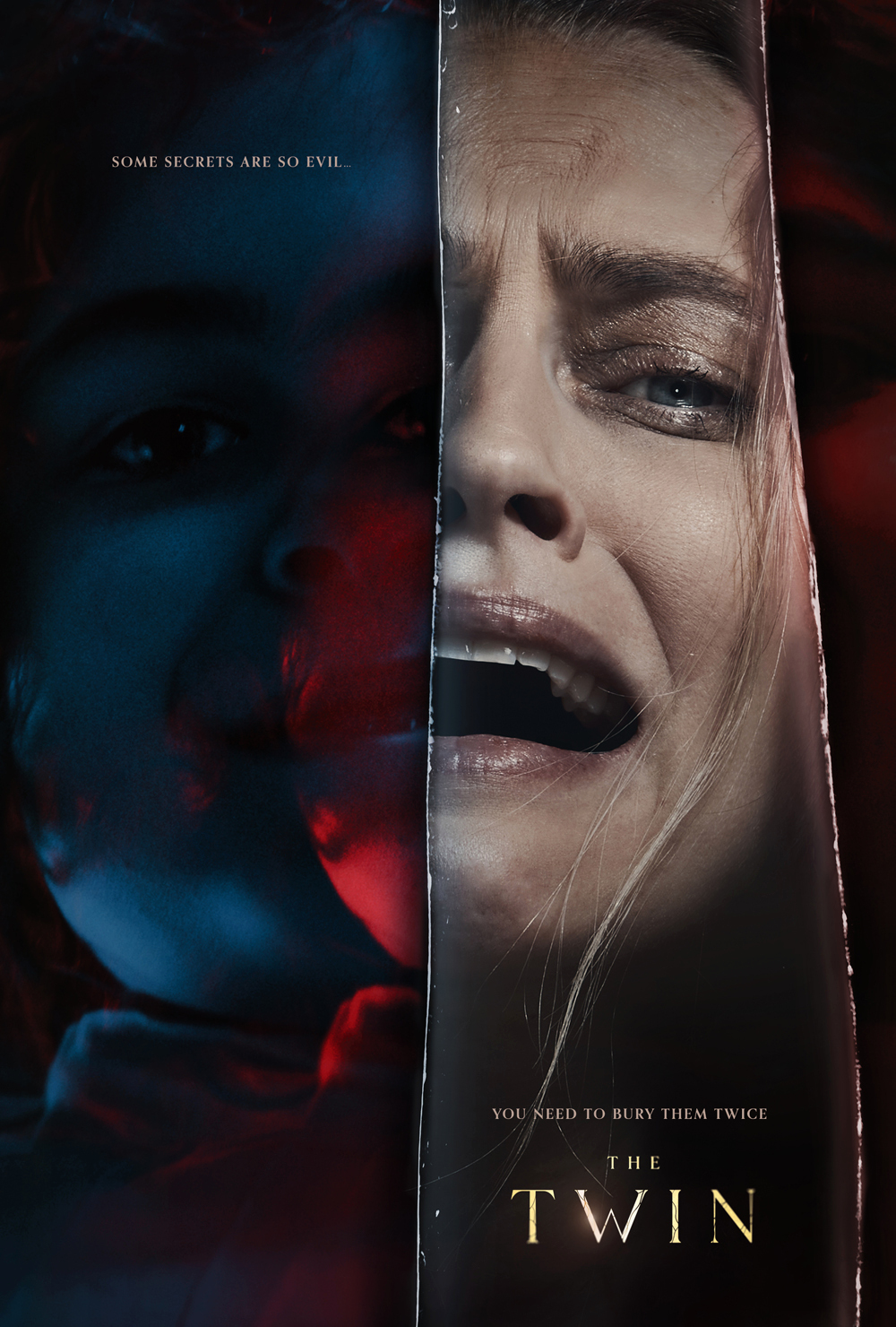 The Twin poster