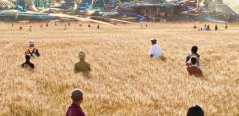 cropped-Tomorrowland.jpeg