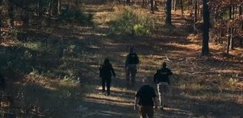 cropped-Busca-imediata.jpg