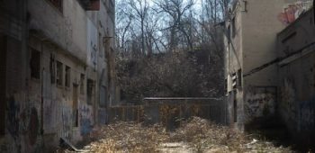 photo-1608173907920-2aa49f4ffbb0