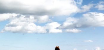 cropped-A-Outra-Terra.jpg