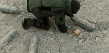 cropped-Guerra-ao-Terror.jpg