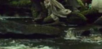 cropped-O-Sobrevivente.jpg