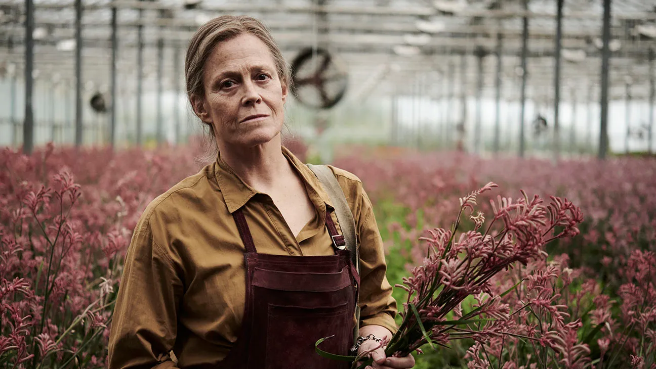 As Flores Perdidas de Alice Hart amazon.jpg