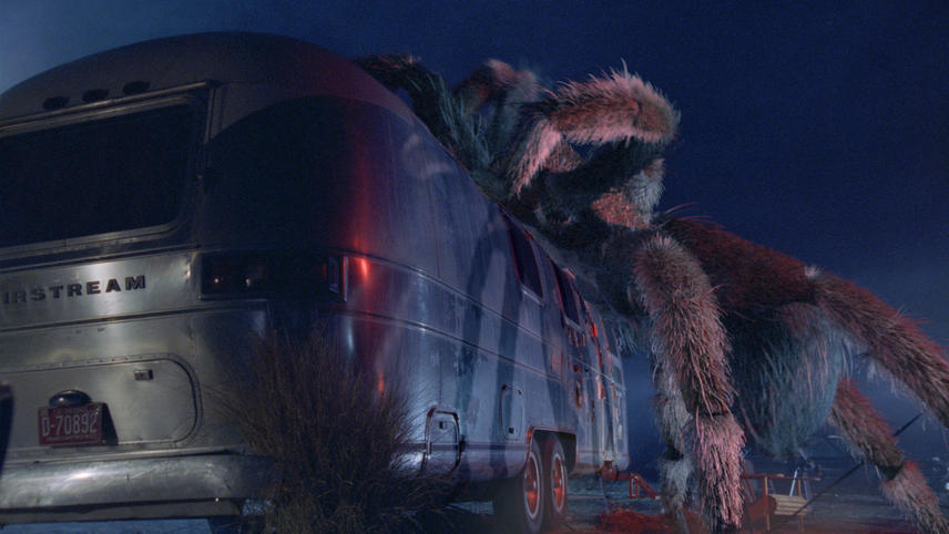 Malditas Aranhas! (Eight Legged Freaks) é um filme de terror e comédia de monstro que marcou seu lançamento em 2002.