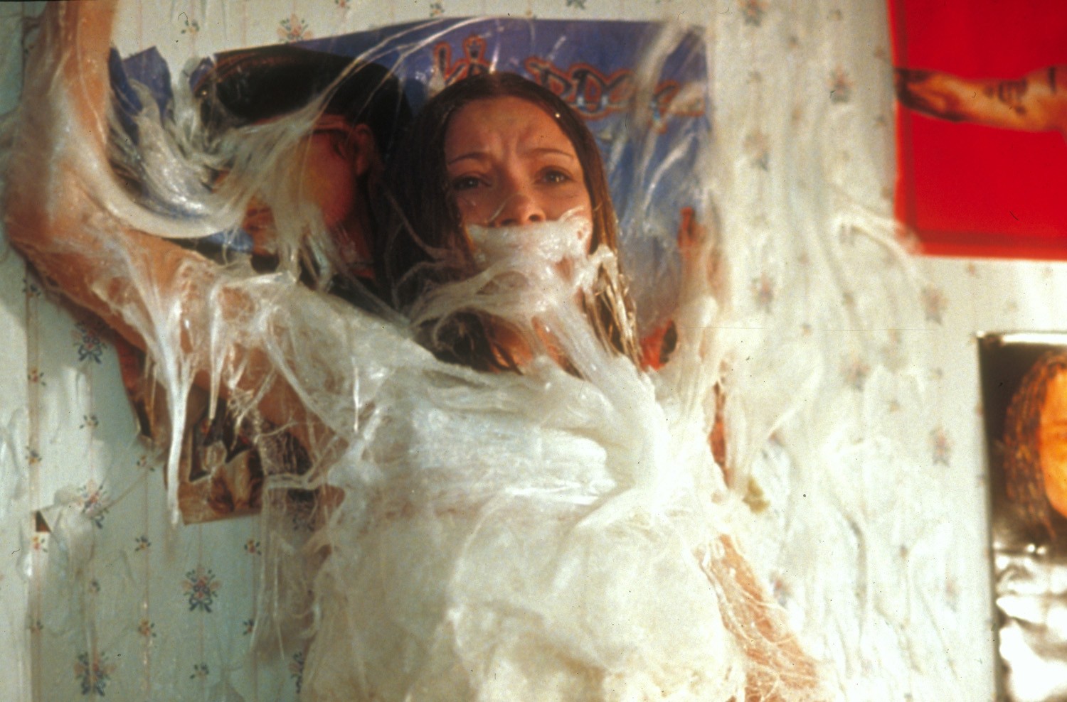 Malditas Aranhas! (Eight Legged Freaks) é um filme de terror e comédia de monstro que marcou seu lançamento em 2002.